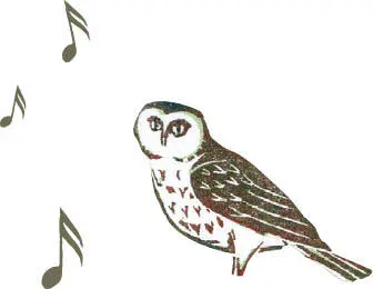 THERESAS WINTERGRÜN PLAYLIST Ob zum High Tea vor dem Kamin oder beim - фото 16