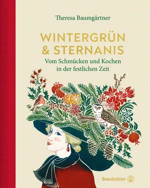 Theresa Baumgärtner Wintergrün & Sternanis обложка книги