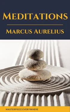 Marcus Aurelius Meditations: A New Translation обложка книги
