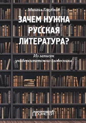Михаил Голубков - Зачем нужна русская литература? Из записок университетского словесника