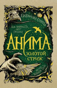 Екатерина Соболь Золотой стриж обложка книги