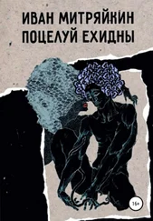 Иван Митряйкин - Поцелуй Ехидны