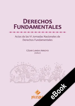 César Landa Derechos Fundamentales обложка книги