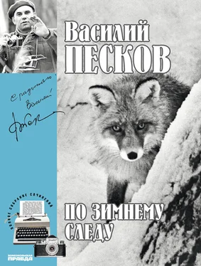 Василий Песков Полное собрание сочинений. Том 7. По зимнему следу обложка книги