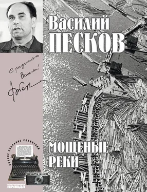 Василий Песков Полное собрание сочинений. Том 5. Мощеные реки обложка книги