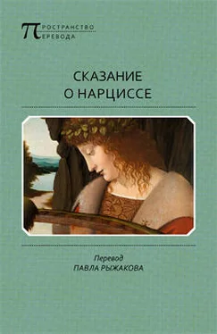 Неустановленный автор Сказание о Нарциссе обложка книги