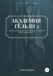 Сия Камери - Академия Гёльди 2