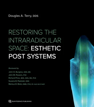 Douglas A. Terry Restoring the Intraradicular Space обложка книги