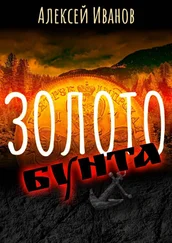 Алексей Иванов - Золото бунта