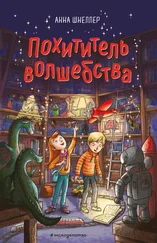 Анна Шнеллер - Похититель волшебства