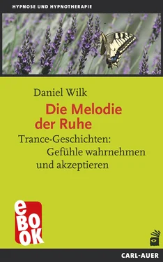 Daniel Wilk Die Melodie der Ruhe обложка книги