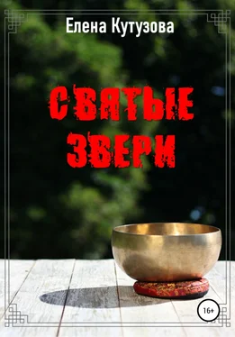 Елена Кутузова Святые звери обложка книги