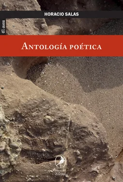 Horacio Salas Antología poética обложка книги