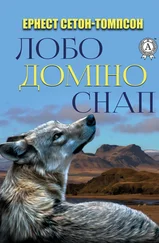 Эрнест Сетон-Томпсон - Лобо. Доміно. Снап.