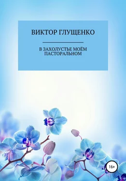 Виктор Глущенко В захолустье моём пасторальном… обложка книги