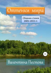 Валентина Пестова - Оттенки мира