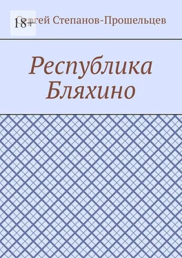 Сергей Степанов-Прошельцев Республика Бляхино обложка книги