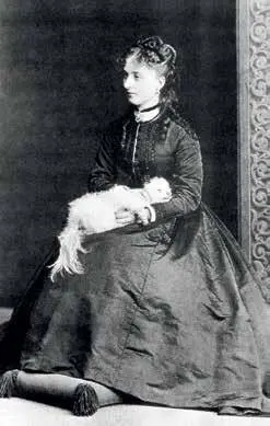 Княжна Екатерина Долгорукова 1870е гг Покушавшийся оказался бывшим студентом - фото 42