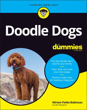 Miriam Fields-Babineau Doodle Dogs For Dummies обложка книги