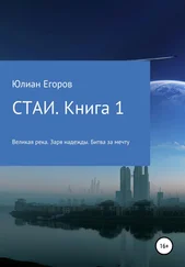 Юлиан Егоров - Стаи. Книга 1