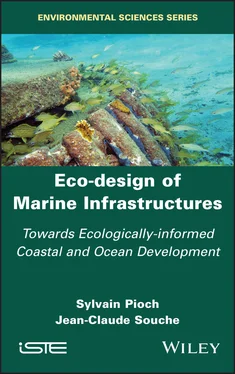 Sylvain Pioch Eco-design of Marine Infrastructures обложка книги