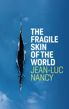 Jean-Luc Nancy The Fragile Skin of the World обложка книги