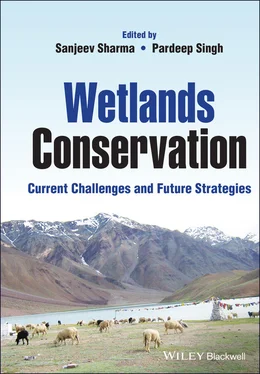 Неизвестный Автор Wetlands Conservation обложка книги