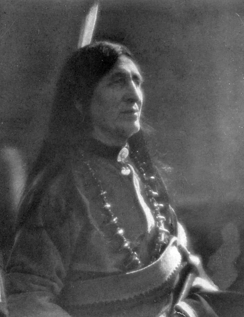 CHIEF STANDING BEAR AT COUNCIL PREFACE Table of Contents The preparation of - фото 1