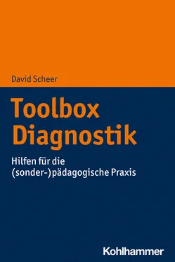David Scheer Toolbox Diagnostik обложка книги