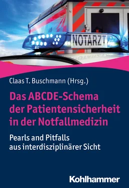 Неизвестный Автор Das ABCDE-Schema der Patientensicherheit in der Notfallmedizin обложка книги