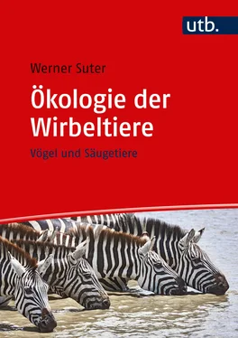 Werner Suter Ökologie der Wirbeltiere обложка книги