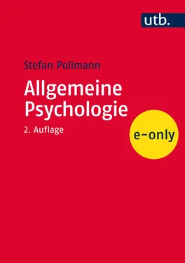 Stefan Pollmann Allgemeine Psychologie обложка книги