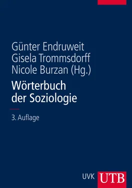 Неизвестный Автор Wörterbuch der Soziologie обложка книги
