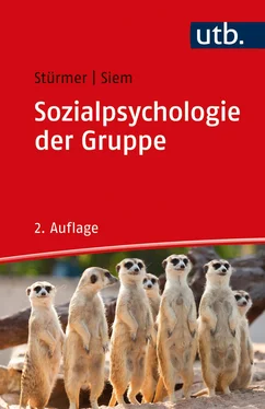 Stefan Stürmer Sozialpsychologie der Gruppe обложка книги