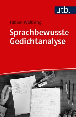 Fabian Wolbring Sprachbewusste Gedichtanalyse обложка книги