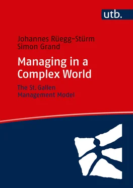 Johannes Rüegg-Stürm Managing in a Complex World обложка книги