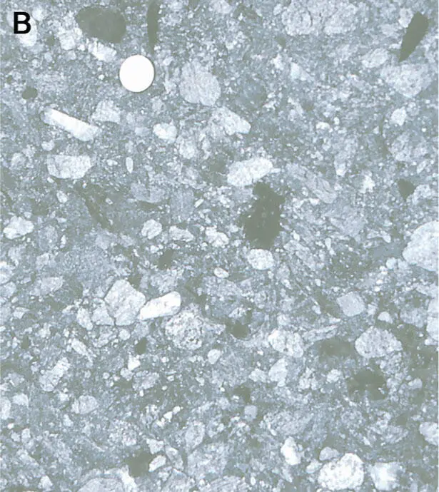 221 Die Karbonsedimente von DorénazA Steil stehende fluviale Abfolge mit - фото 38