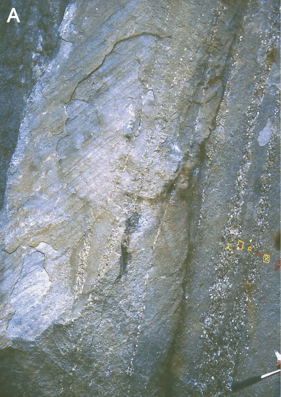 221 Die Karbonsedimente von DorénazA Steil stehende fluviale Abfolge mit - фото 37