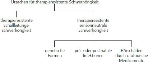 Abb 20 Einteilung der Ursachen nach Ausführungen von Seidler 1996 Die - фото 44