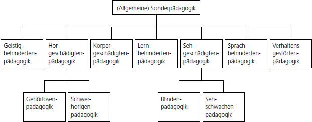 Abb 1 Einteilung der Sonderpädagogik in Teildisziplinen Klauer nimmt in - фото 19