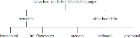 Abb 19 Ursachen kindlicher Hörschädigungen nach Biesalski Frank 1994 68 - фото 43