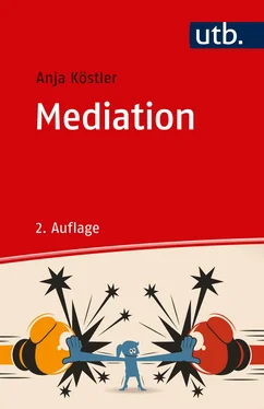Anja Köstler Mediation обложка книги
