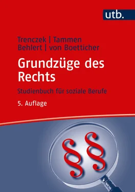 Thomas Trenczek Grundzüge des Rechts обложка книги