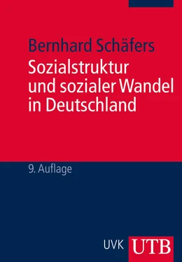 Bernhard Schäfers Sozialstruktur und sozialer Wandel in Deutschland обложка книги