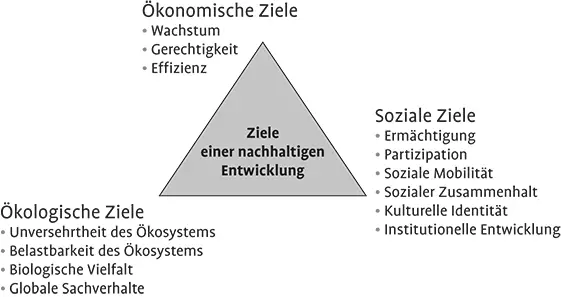 Abb 11 Ziele einer nachhaltigen Entwicklung Quelle Van Dieren 1995 S 120 - фото 4