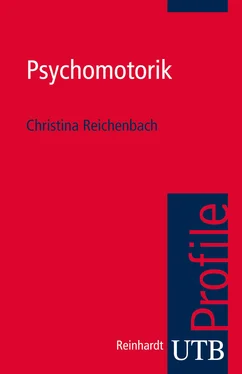 Christina Reichenbach Psychomotorik обложка книги