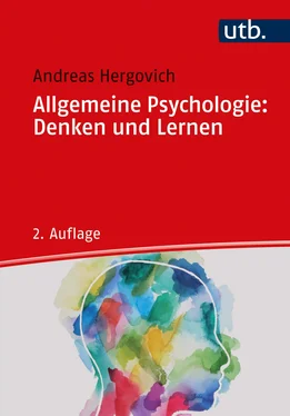 Andreas Hergovich Allgemeine Psychologie: Denken und Lernen обложка книги