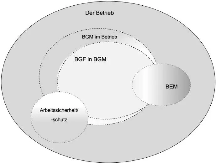 Abb 7BGM in betrieblichen Strukturen Zum anderen werden die - фото 9