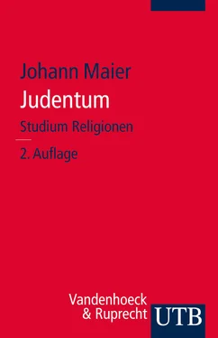 Johann Maier Judentum обложка книги