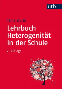 Tanja Sturm Lehrbuch Heterogenität in der Schule обложка книги